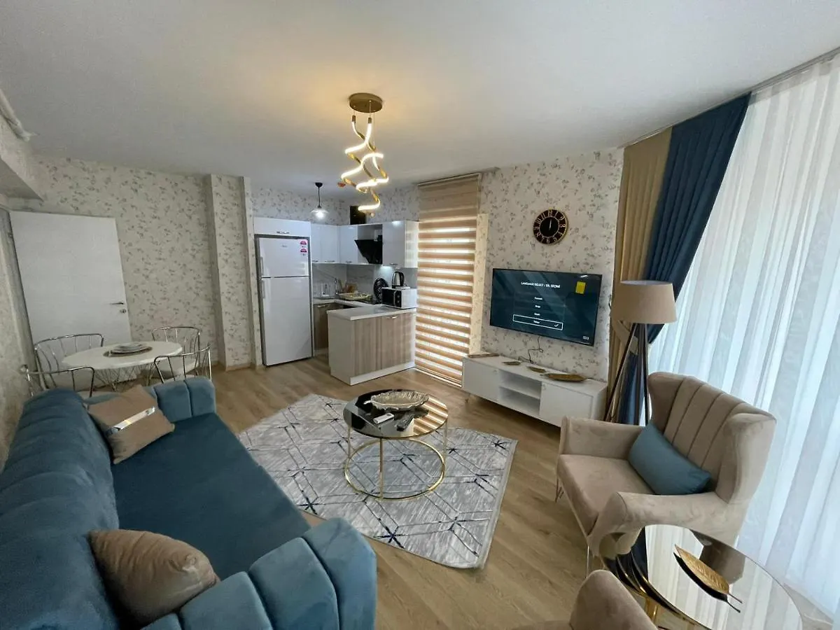 King Suite Ok0 Istanbul Apartment
