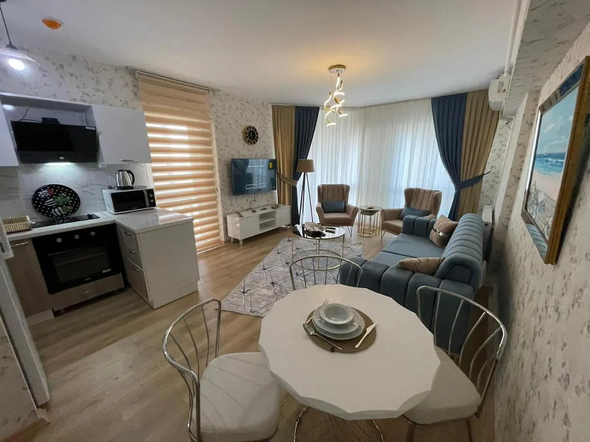 King Suite Ok0 Istanbul Apartment